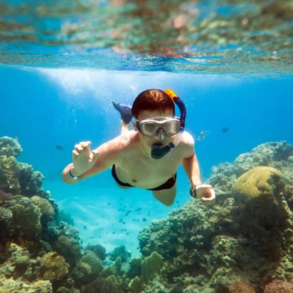 Snorkeling during a Rhino Safari excursion in Saint Martin