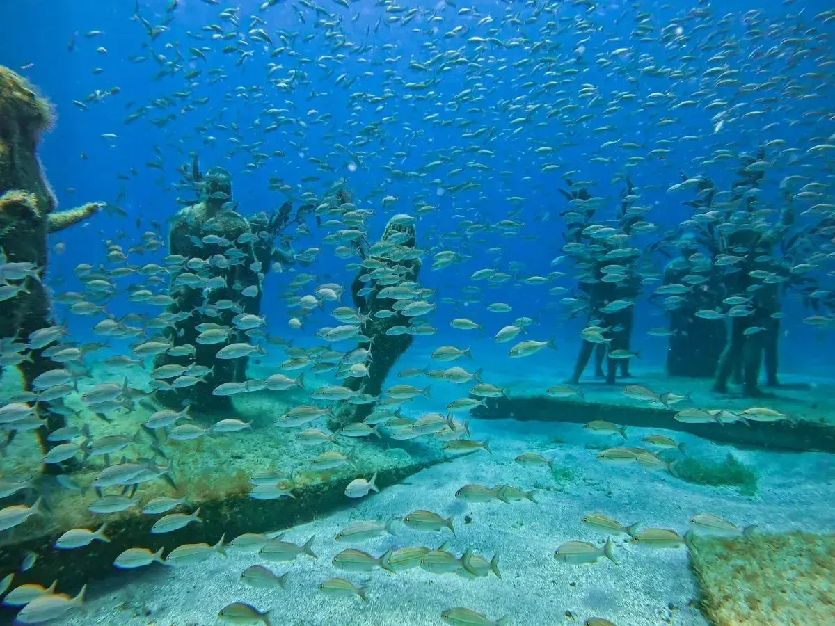 Fish around reef sculptures at the Under SXM underwater park