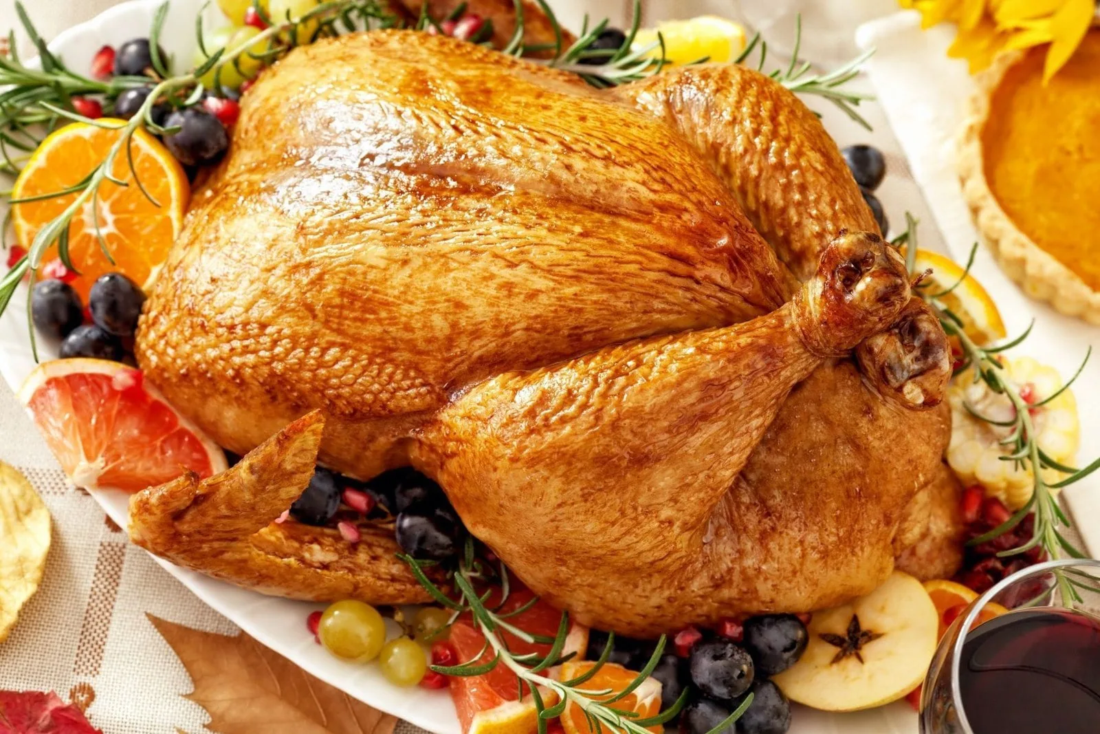 Thanksgiving Dinner Cruise aboard Tango catamaran