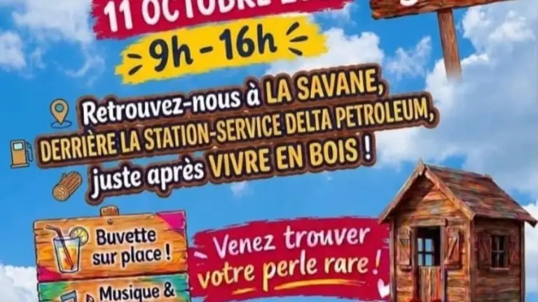 Parc Simba Flea Market