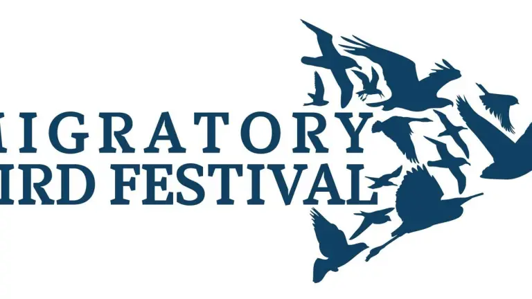 Migratory Bird Festival at Amuseum Naturalis