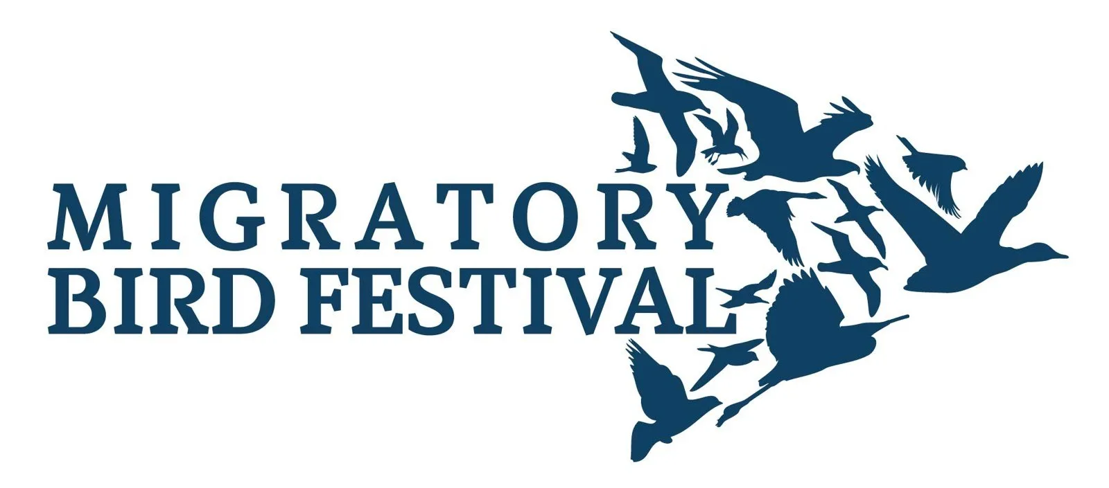 Migratory Bird Festival at Amuseum Naturalis