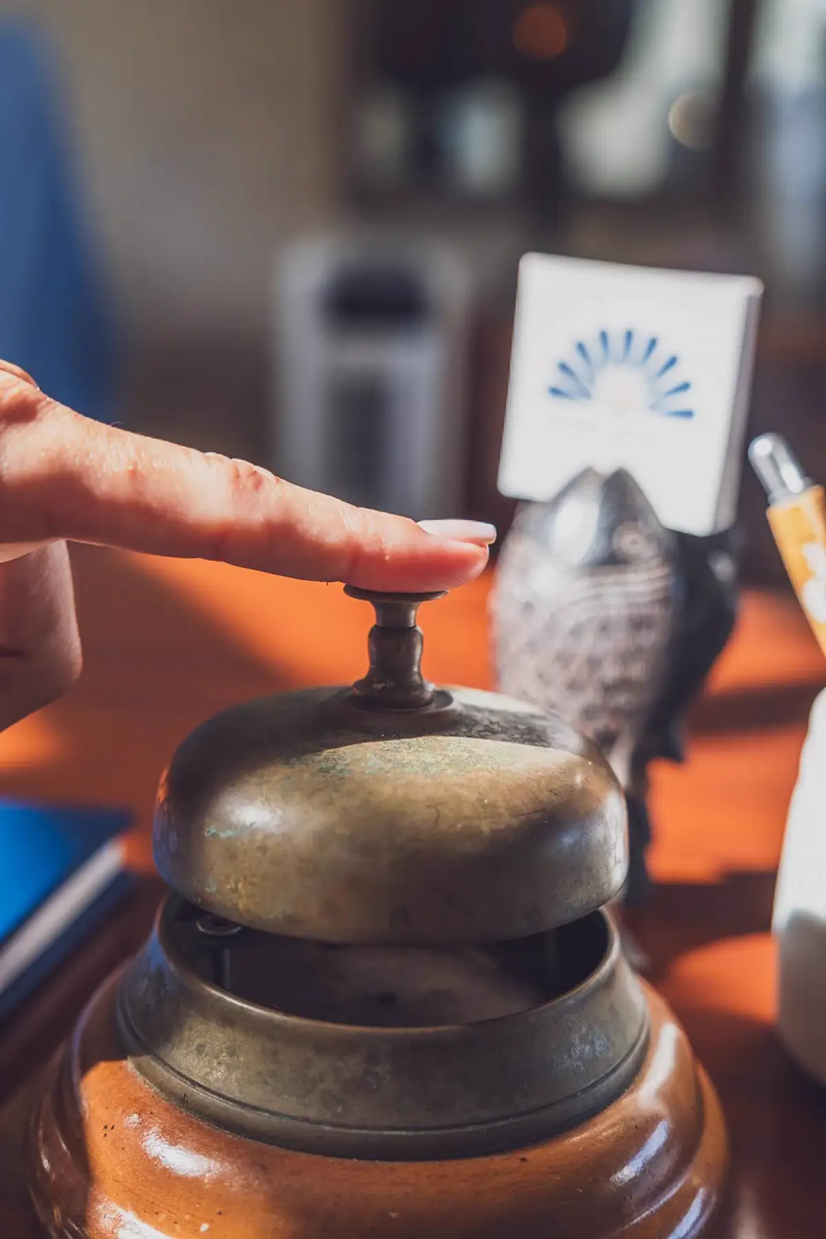 Pool and gardens at Hotel L'Esplanade