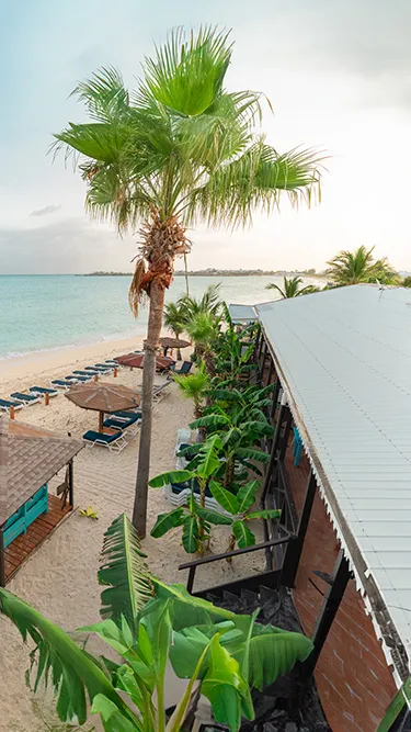 Sun loungers and beachfront facade of Mary's Boon