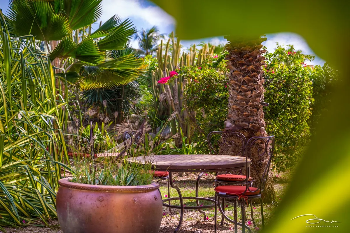 Tropical garden and reading nook at Palm Court Residence