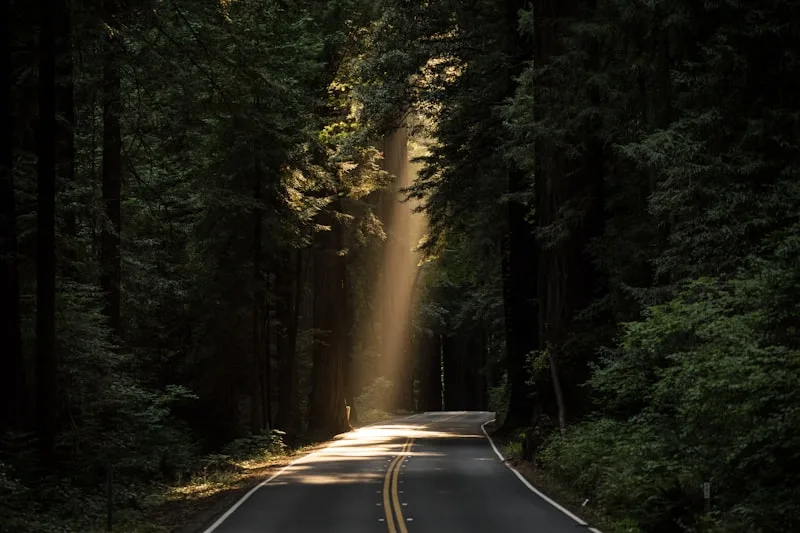 Hike and explore tropical nature