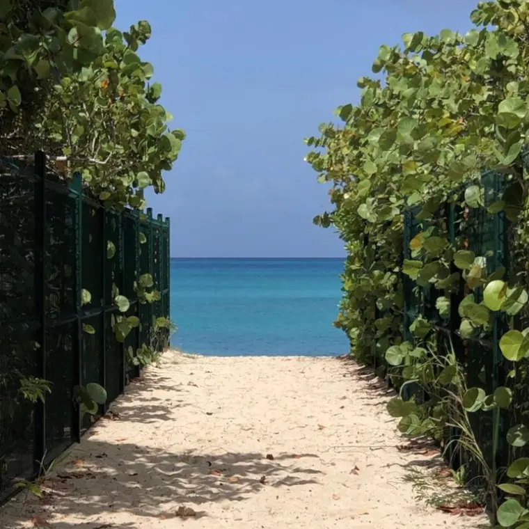 Sandy access path to Plum Bay beach between vegetation
