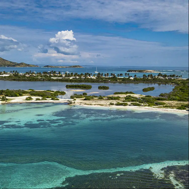 Aerial view of Lucas Bay and natural areas near Oyster Pond