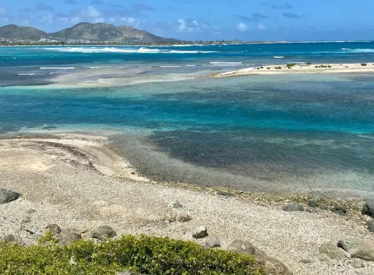 Wild shoreline and reef at Lucas Bay in calm seas