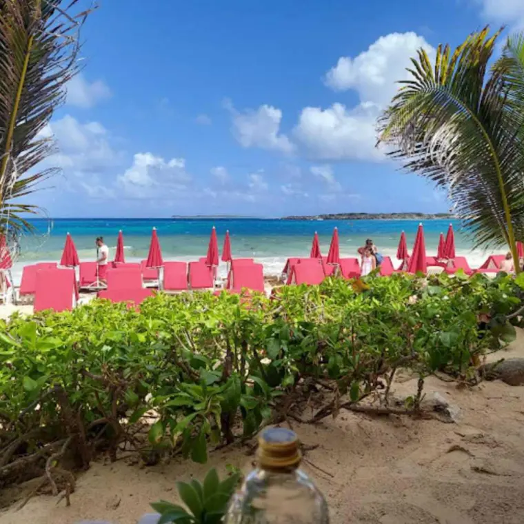 Loungers and beach vegetation along Dawn Beach