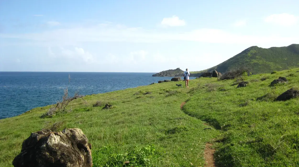 Wild coastal trail between Guana Bay and Geneve Bay in Sint Maarten
