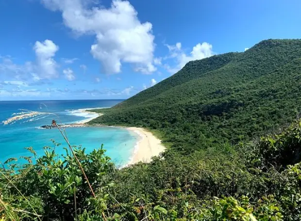 Grandes Cayes Beach and nature reserve vegetation