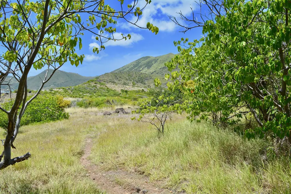 Nature trail to Happy Bay from Friar's Bay
