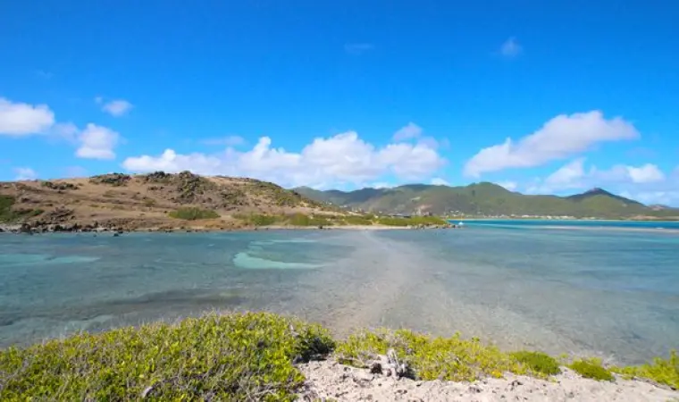Wild lagoon and vegetation landscape at Embouchure Bay
