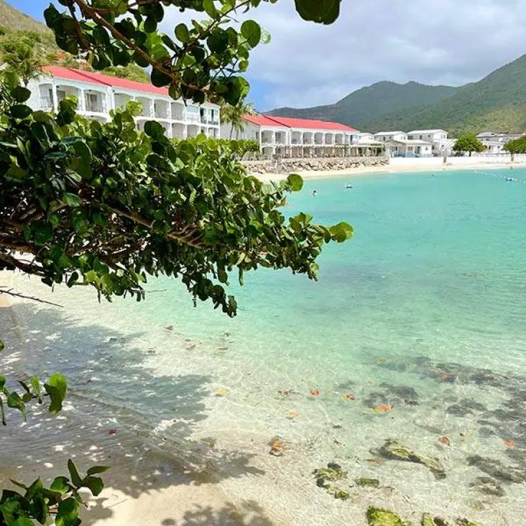 Tree shade and clear water on Petite Plage in Saint Martin