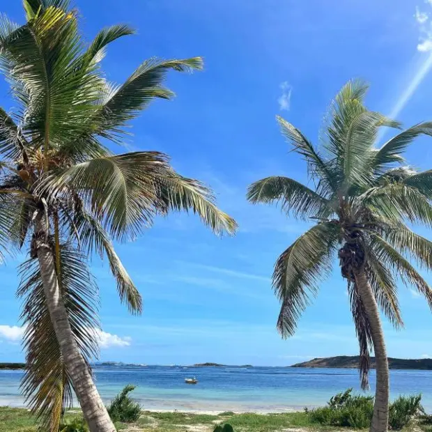 View of Galion Bay with coconut palms and calm water