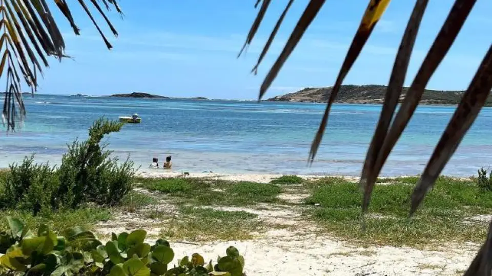 Natural shoreline of Le Galion Beach facing the lagoon