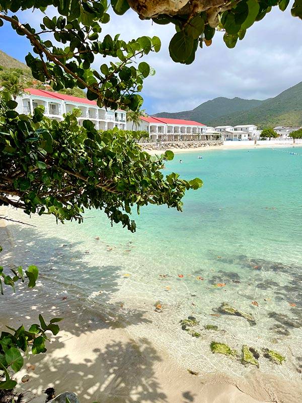 Turquoise waters and vegetation at Grand Case