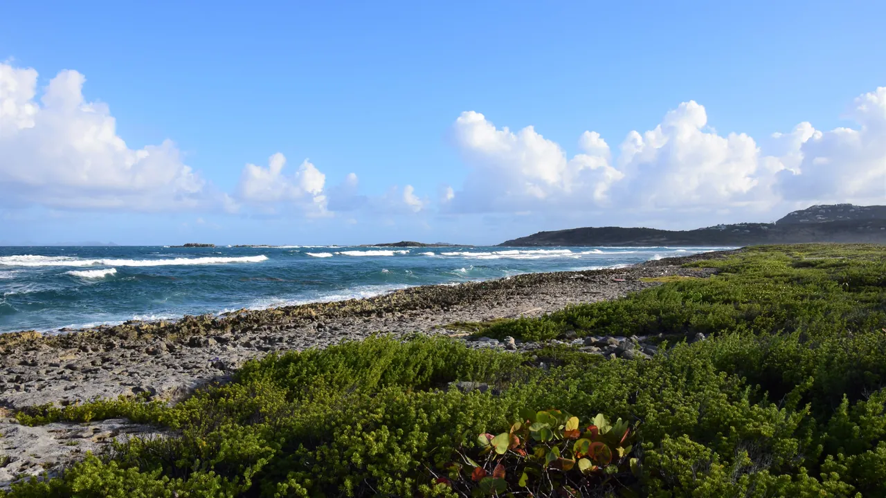 Coastal vegetation and volcanic rocks facing the Atlantic in the Saint Martin Nature Reserve