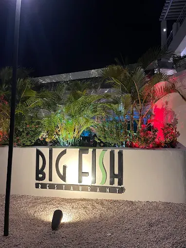 Big Fish Seafood Grill - illuminated facade and tropical garden at night