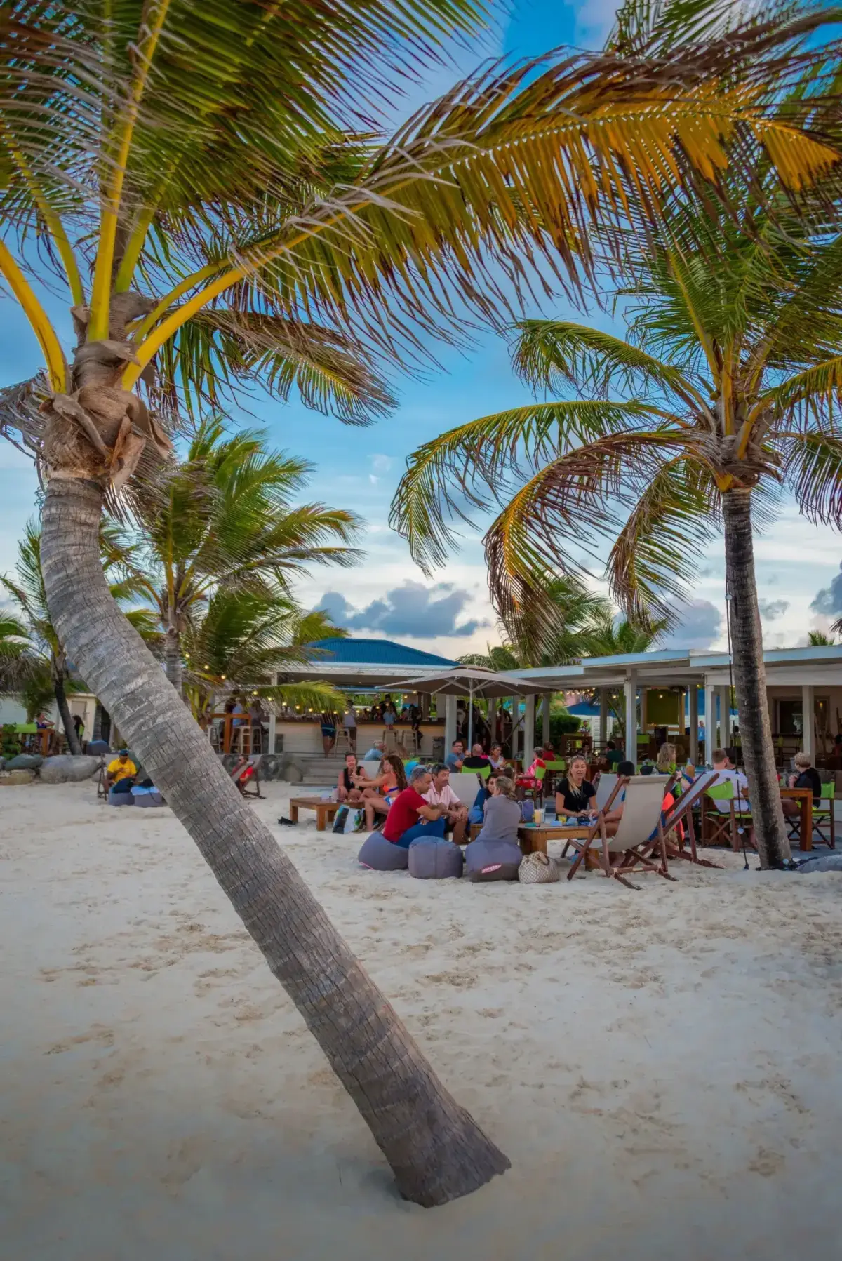 Bikini Beach - lively terrace under coconut trees on the beach