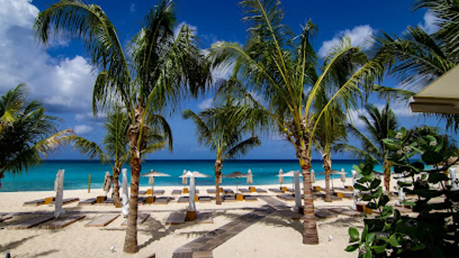 Kalatua beach in Cupecoy: palm trees and sun loungers facing the turquoise sea on Mullet Bay