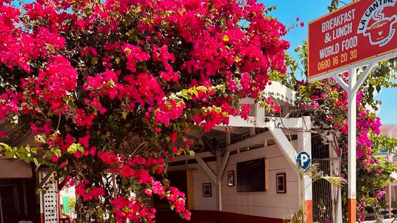 La Cantine SXM - Flower-covered exterior with breakfast and lunch sign in Grand Case