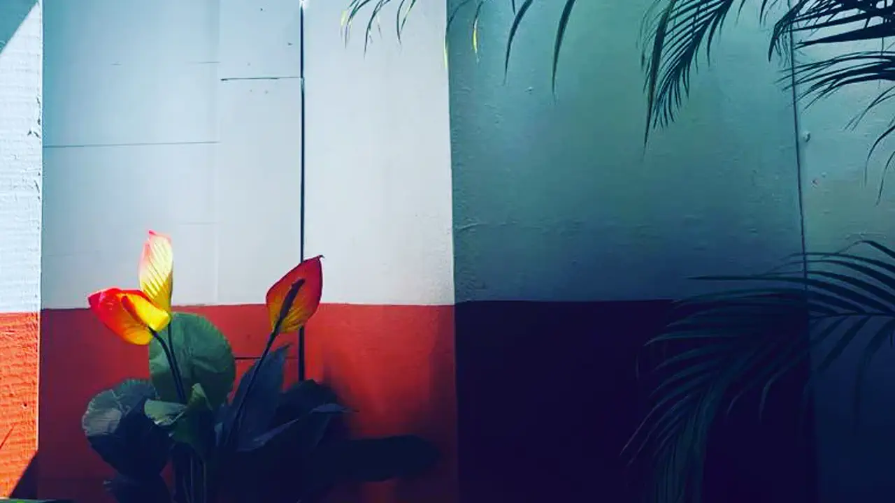 La Cantine SXM - Shaded terrace corner with tropical plants
