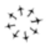 Tradewind Aviation