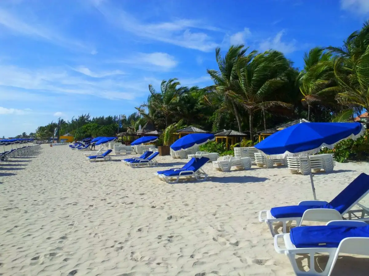 Loungers and blue umbrellas under the palm trees of Orient Bay