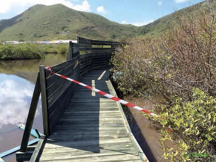 Cul-de-Sac mangrove in Saint Martin