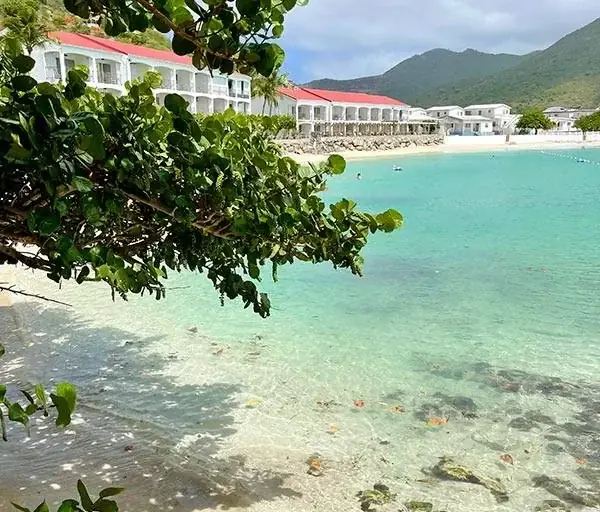 Turquoise waters and vegetation at Grand Case