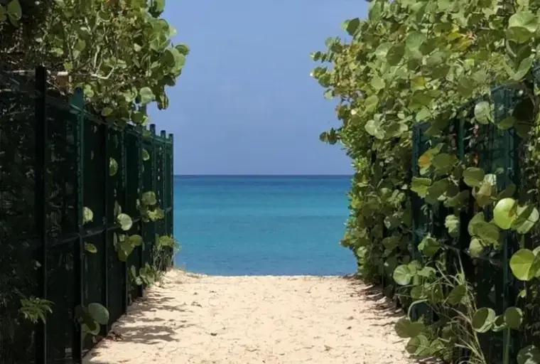 Sandy access path to Plum Bay beach between vegetation
