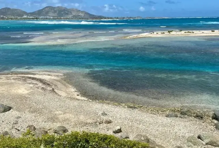 Wild shoreline and reef at Lucas Bay in calm seas