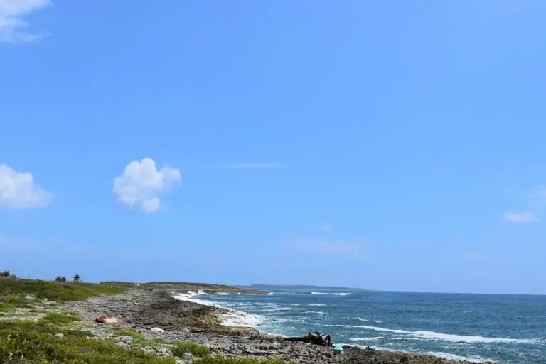 Wild coastal landscape of the Atlantic side of Saint Martin, Guana Bay style