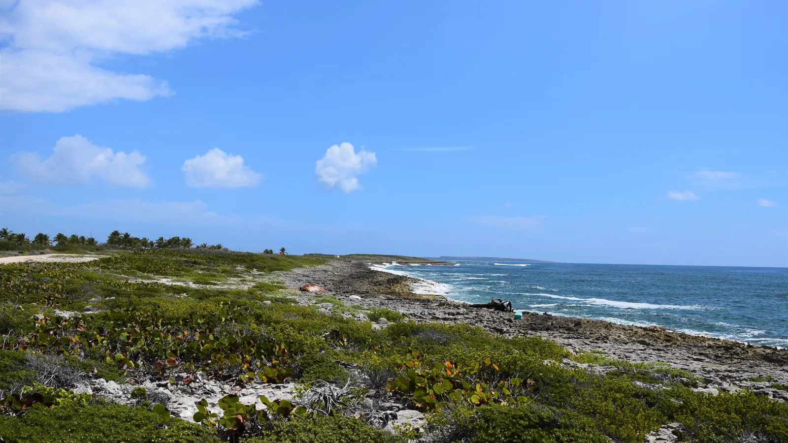 Rocky Atlantic coast of the Saint Martin Nature Reserve, wild landscape similar to Pinel Island