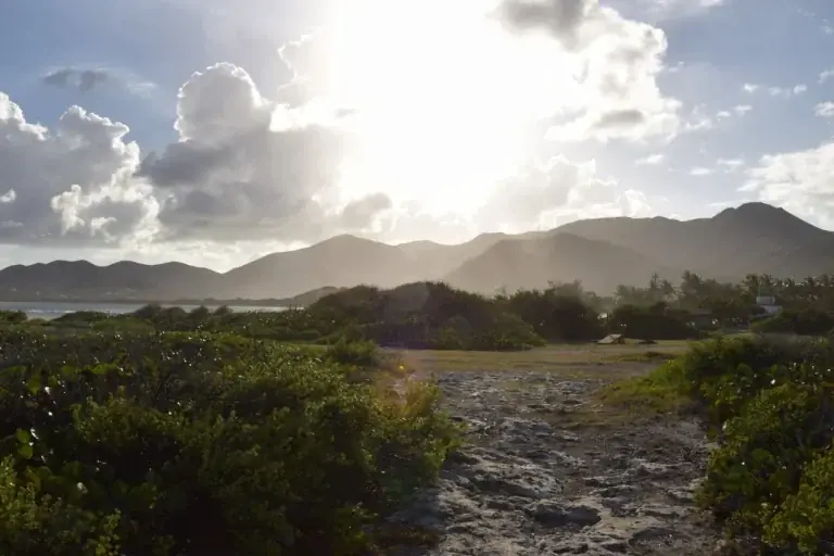 Trail through the Saint Martin Nature Reserve at sunset, Pinel Island atmosphere