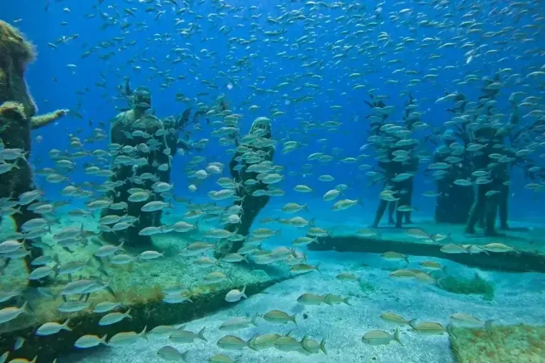 Fish around reef sculptures at the Under SXM underwater park